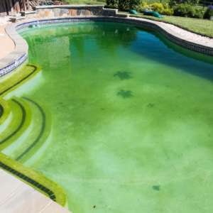 green color pool