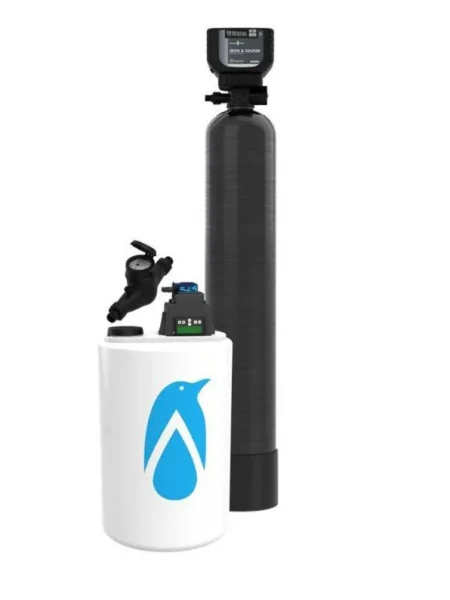 Iron sulfur oxidation system